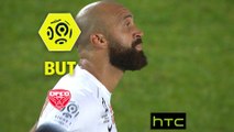 But Anthony VANDEN BORRE (81ème csc) / Dijon FCO - Montpellier Hérault SC - (3-3) - (DFCO-MHSC) / 2016-17