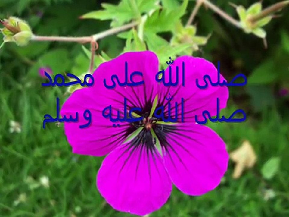 صلى الله على محمد -  نور الدين خورشيد Islamic arabic nasheed