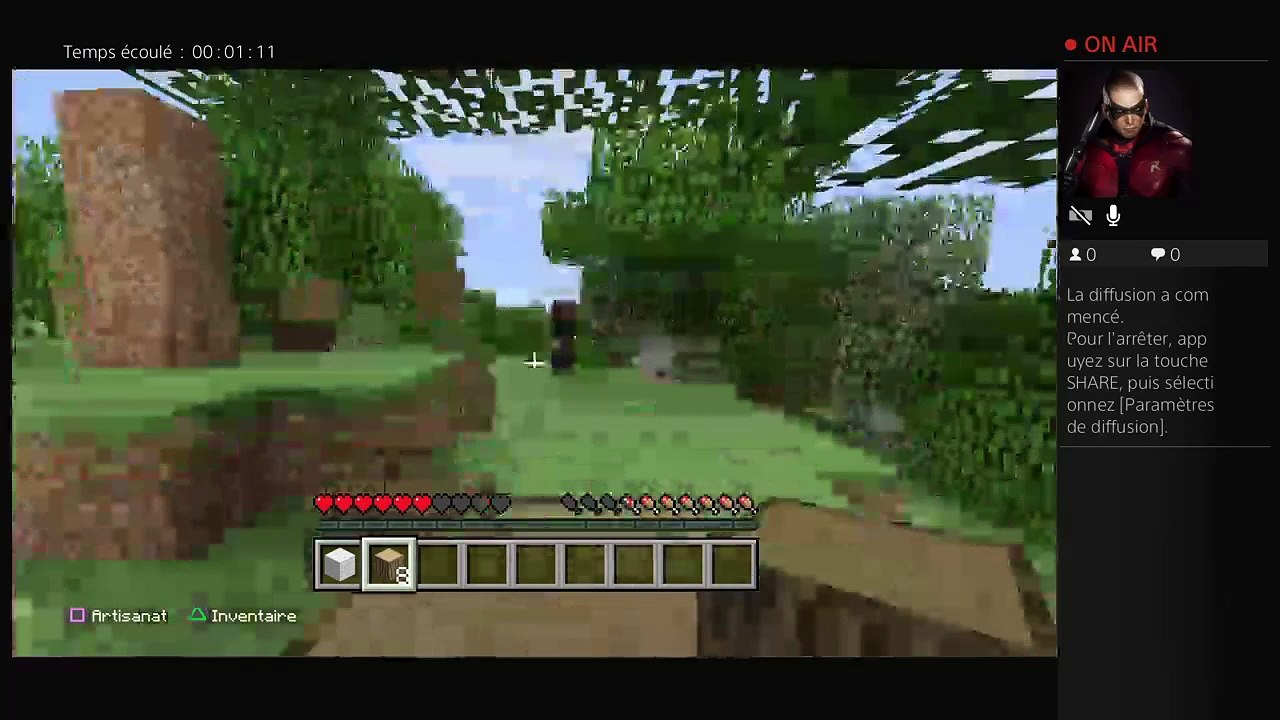 Minecraft (10)