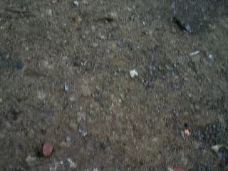 avion télécommandé