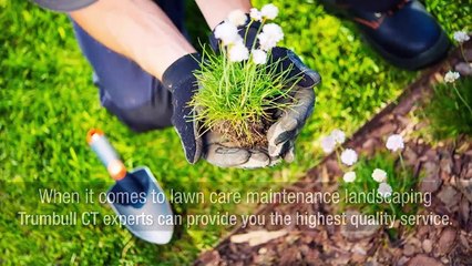 Keep Your Lawn Healthy Through These Tips