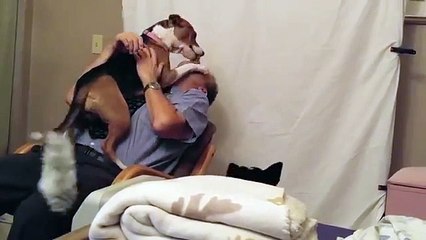 This man saves the life of a dog