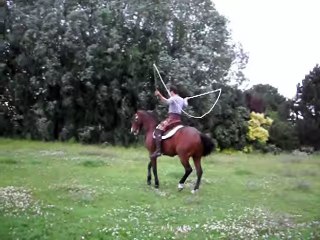 A Horse Jumping Rope