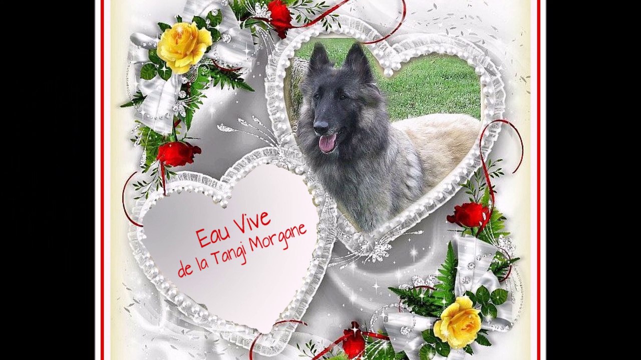 Eau Vive