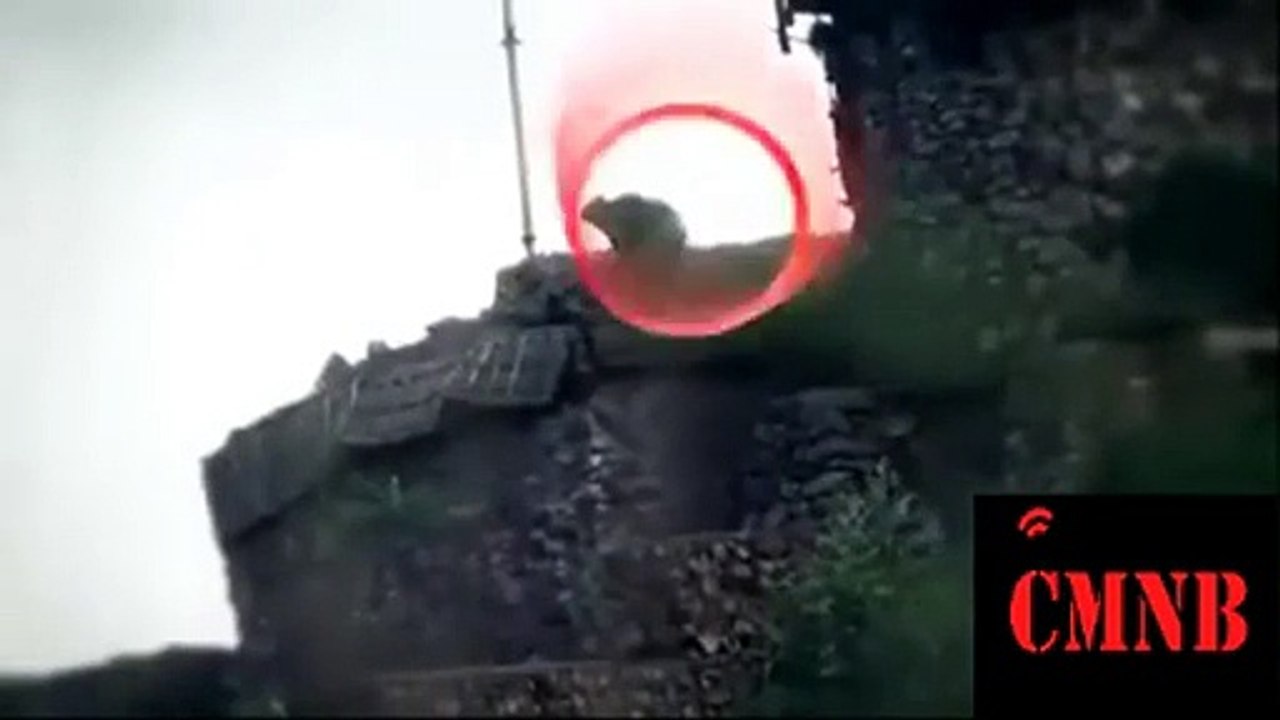 Pakistani sniper shot down an Indian Soldier at LoC