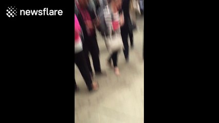 Train crashes at Hoboken station, NJ, reportedly killing three