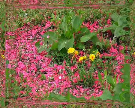 Neyle Salih Dedenin Uşşak Saz Semaisi -