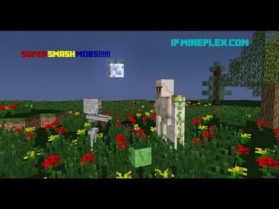 SuperSmashMobs Episode 1:SKELETON RULES!!!!!!!
