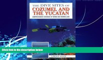 Big Deals  The Dive Sites of Cozumel, Cancun and the Mayan Riviera : Comprehensive Coverage of