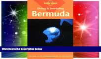 Big Deals  Diving   Snorkeling Guide to Bermuda (Lonely Planet Diving and Snorkeling Bermuda)