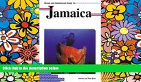 Big Deals  Diving and Snorkeling Guide to Jamaica (Lonely Planet Diving   Snorkeling Great Barrier