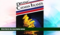 Big Deals  Diving Cayman Islands  Free Full Read Best Seller