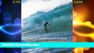 Big Deals  The Stormrider Guide Europe: Atlantic Islands (Stormrider Surf Guides) (English and