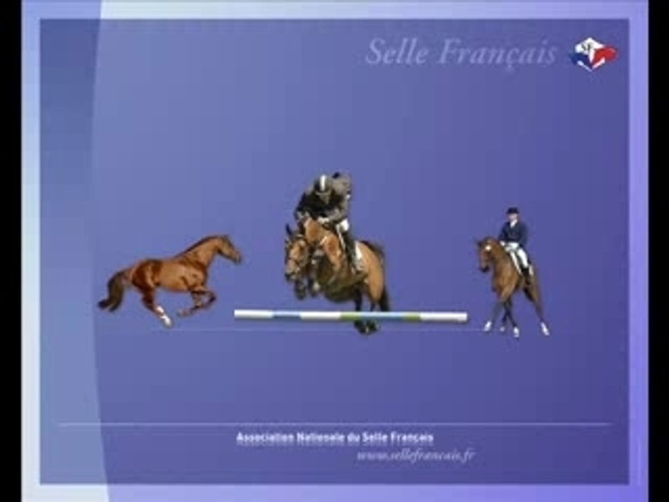 Fastourel du cap
