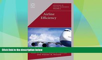 Must Have PDF  Airline Efficiency (Advances in Airline Economics)  Best Seller Books Most Wanted