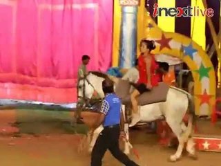 Circus: Funny moments