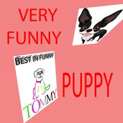 American and Australian funny partnership