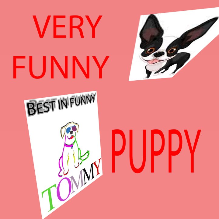 American and Australian funny partnership