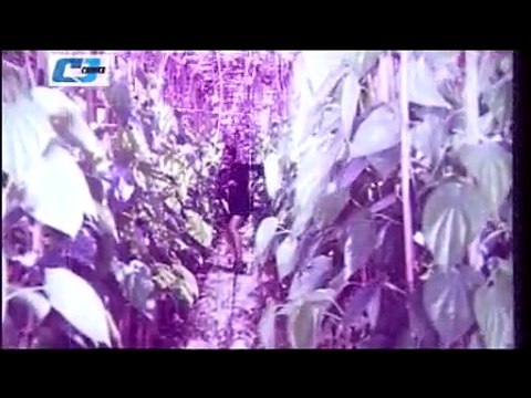 Tumi Amar Prothom - Salman Shah Evergreen Bangla Movie Songs