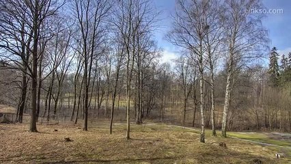 One year in 40 seconds