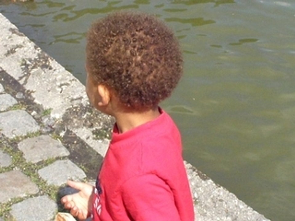 fammille sylla