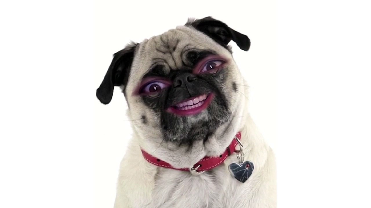 Pug PPAP Pen Pineapple Apple Pen