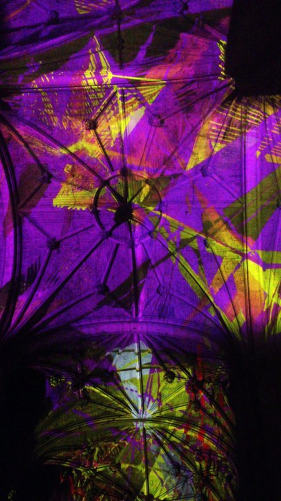 Miguel Chevalier Voûtes Célestes Saint Eustache Vol5