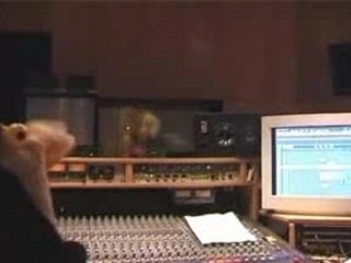 Je suis un Gentil Poulet