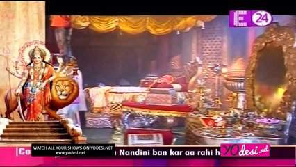 Chandra Nandni Ban Ke Aa Rhi Shweta!! - Shweta - 3rd October 2016