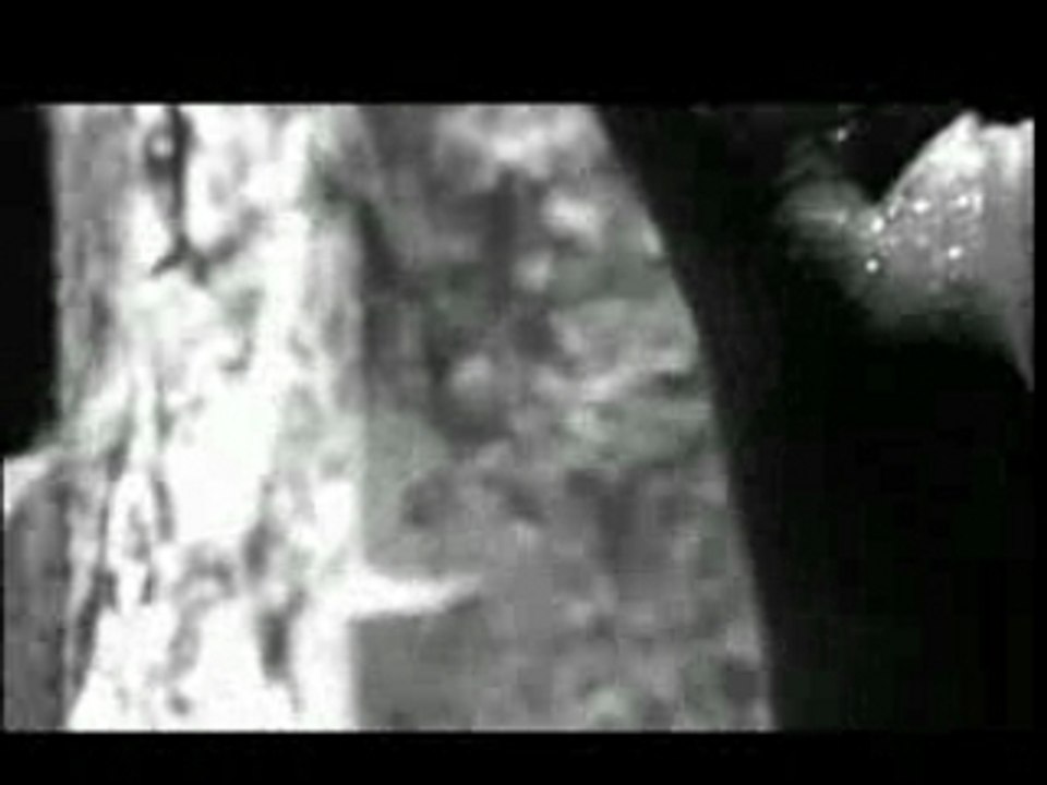 Massiv_ghettolied beathoavenz remix