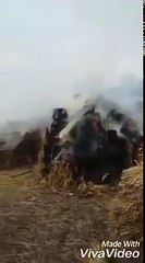 Скачать видео: Indian Army burning crops and firing teargas shells at villagers in Kashmir