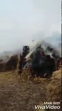 Indian Army burning crops and firing teargas shells at villagers in Kashmir