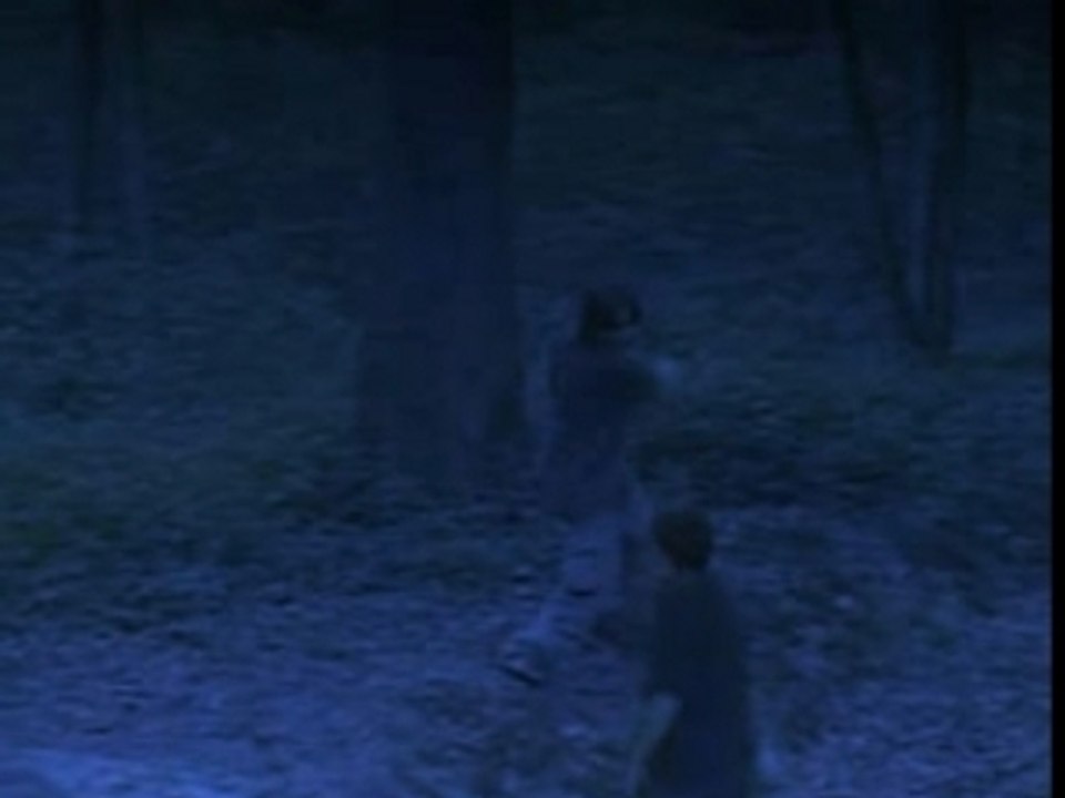 Haunted Forest