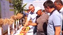 Ростсельмаш в республике Татарстан - новые рекорды уборки!