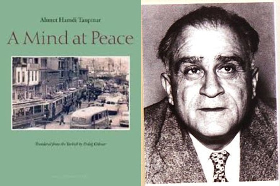 Novels Plot Summary 89: A Mind at Peace