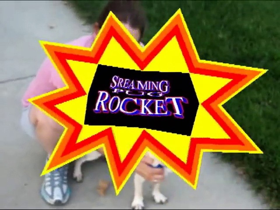 Screaming Pug Rocket!!!