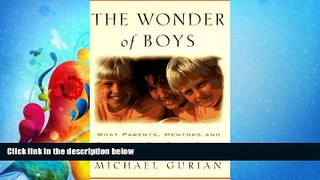 Online eBook The Wonder of Boys: What Parents, Mentors and Educators Can Do to Shape Young Boys