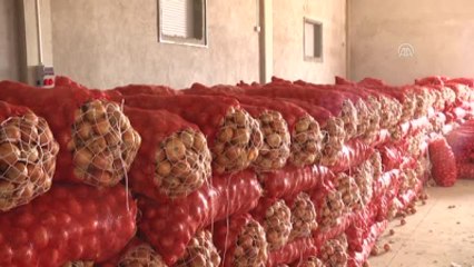 Soğan Üreticisinin Umudu "Rusya Kapısı"Nda