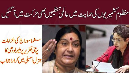 Kasmir Ka Mamla Garnal Assamble mai Uthaya Gaya