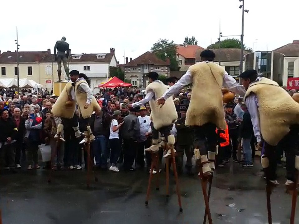 Mont-de-Marsan : des échassiers pour défendre les traditions landaises