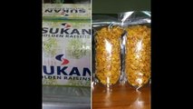 0856 3021 069 | Pusat Kurma | Pusat Kurma Berkualitas