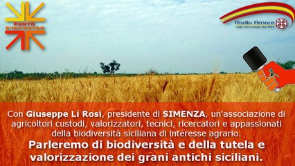 Simenza: la biodiversità e le radici "colturali" degli agricoltori siciliani