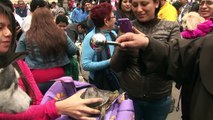 Pets get blessed in ceremony in Lima, Peru