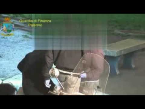 Palermo - Operazione Green family, le immagini della Guardia di finanza (16.09.16)
