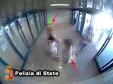 Roma - Rapinatori in azione all'aeroporto di Fiumicino, arrestati dalla Polizia (08.09.16)